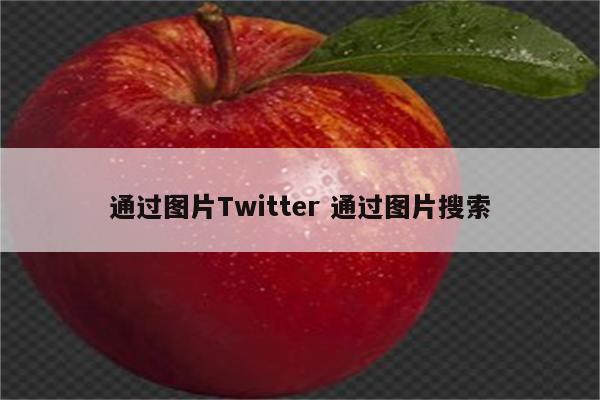 通过图片Twitter 通过图片搜索