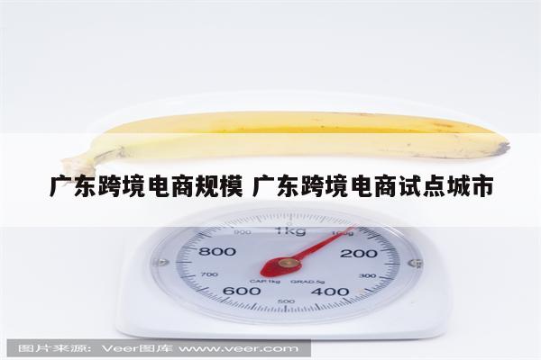 广东跨境电商规模 广东跨境电商试点城市