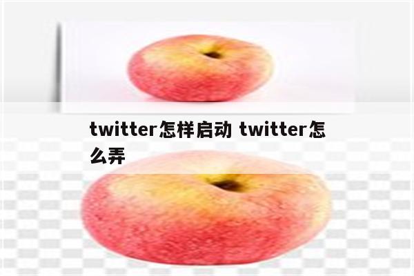 twitter怎样启动 twitter怎么弄