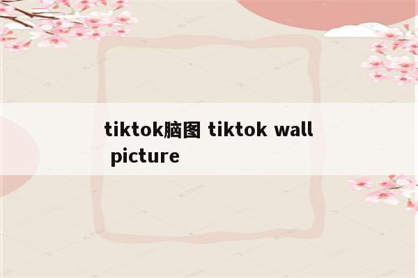tiktok脑图 tiktok wall picture