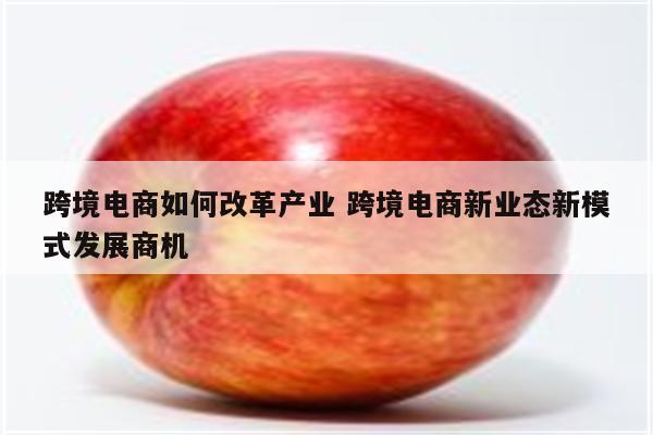 跨境电商如何改革产业 跨境电商新业态新模式发展商机