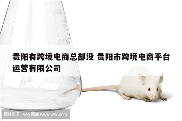 贵阳有跨境电商总部没 贵阳市跨境电商平台运营有限公司