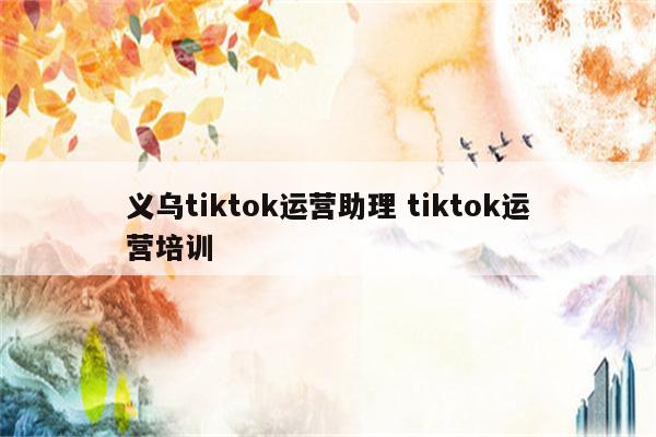 义乌tiktok运营助理 tiktok运营培训