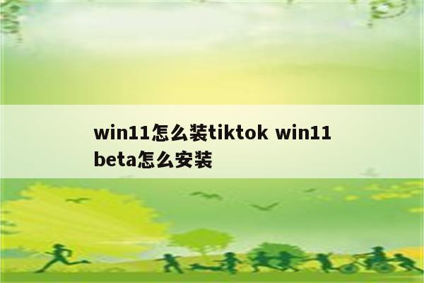 win11怎么装tiktok win11beta怎么安装
