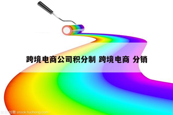 跨境电商公司积分制 跨境电商 分销