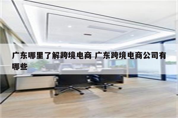 广东哪里了解跨境电商 广东跨境电商公司有哪些