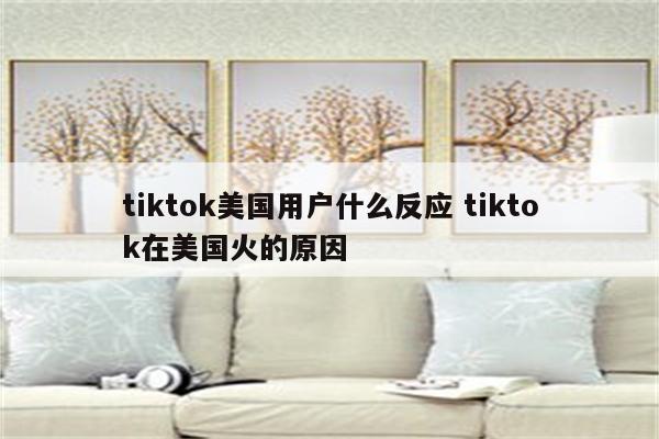 tiktok美国用户什么反应 tiktok在美国火的原因