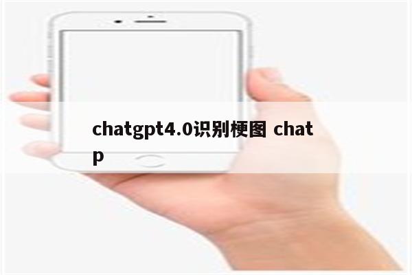 chatgpt4.0识别梗图 chat p