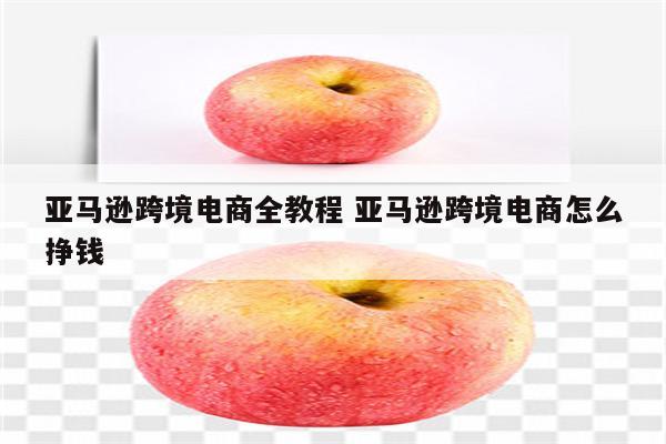 亚马逊跨境电商全教程 亚马逊跨境电商怎么挣钱