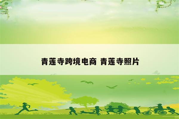 青莲寺跨境电商 青莲寺照片