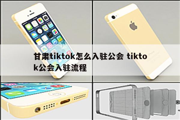 甘肃tiktok怎么入驻公会 tiktok公会入驻流程