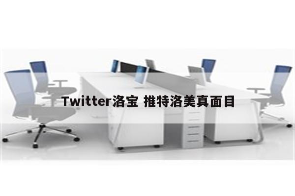 Twitter洛宝 推特洛美真面目