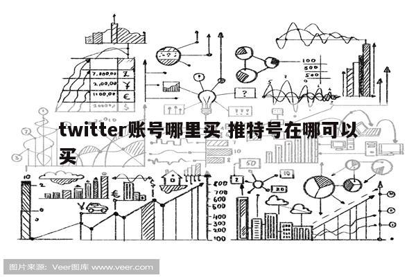 twitter账号哪里买 推特号在哪可以买