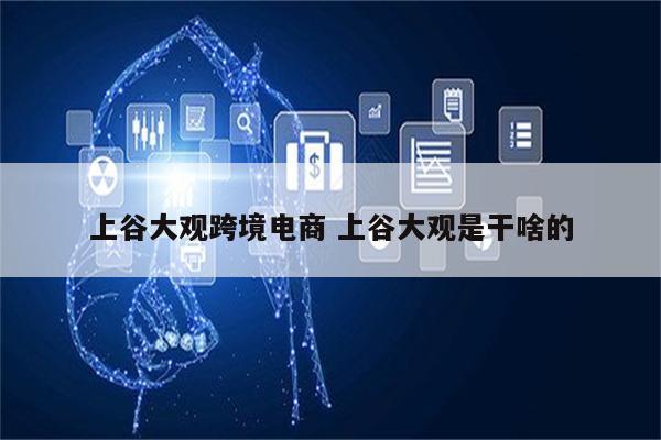 上谷大观跨境电商 上谷大观是干啥的