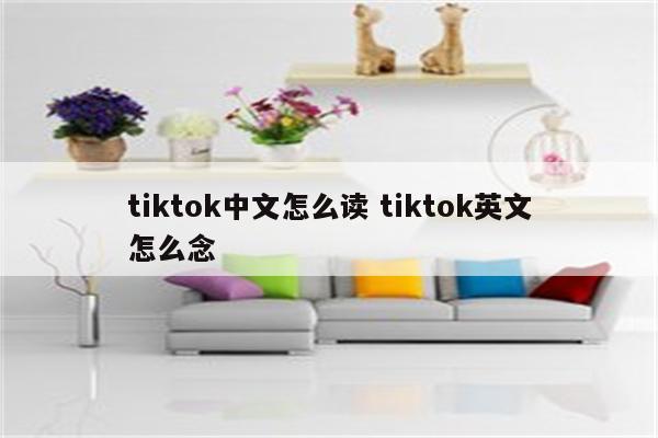 tiktok中文怎么读 tiktok英文怎么念