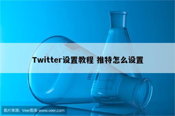 Twitter设置教程 推特怎么设置