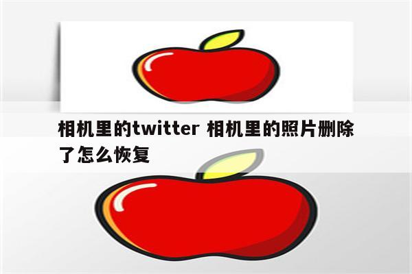 相机里的twitter 相机里的照片删除了怎么恢复