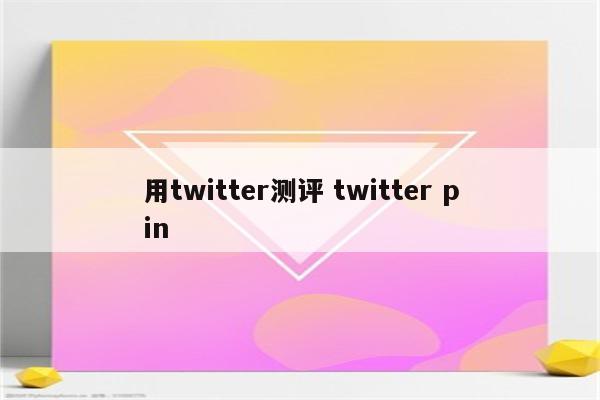 用twitter测评 twitter pin