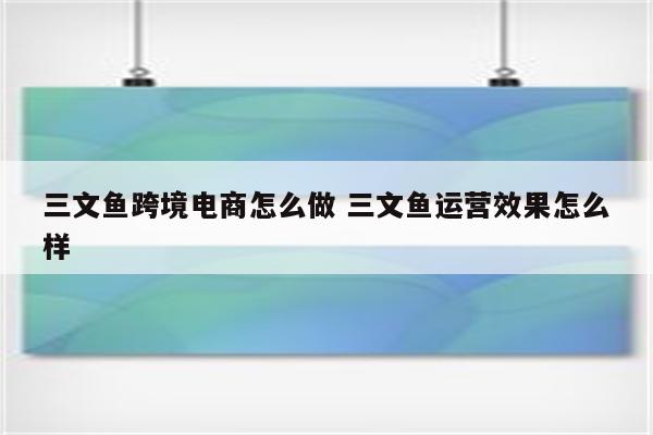 三文鱼跨境电商怎么做 三文鱼运营效果怎么样