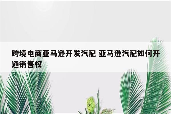 跨境电商亚马逊开发汽配 亚马逊汽配如何开通销售权