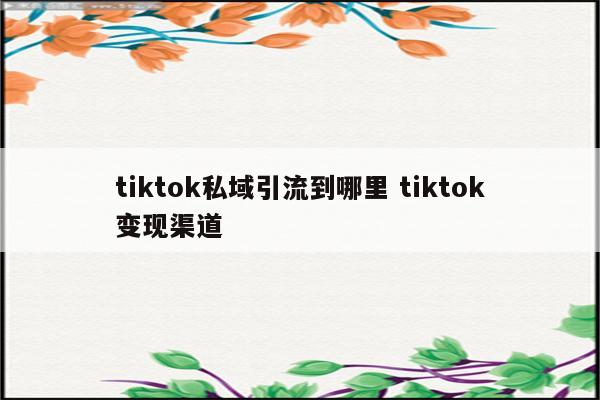 tiktok私域引流到哪里 tiktok变现渠道