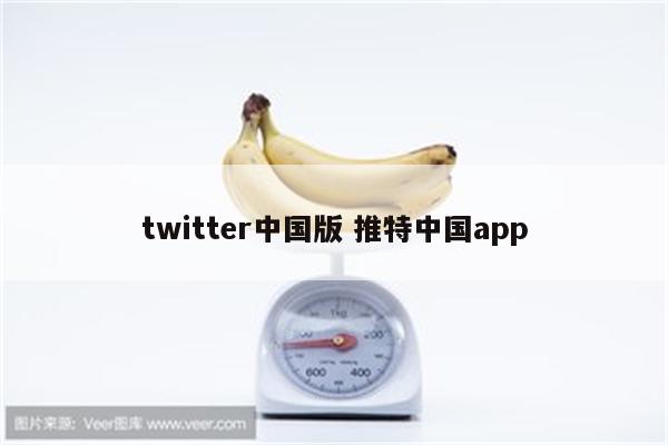 twitter中国版 推特中国app