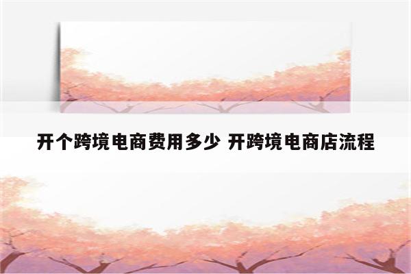 开个跨境电商费用多少 开跨境电商店流程