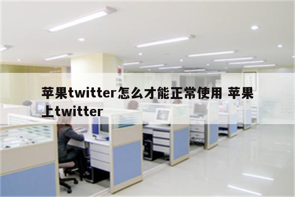 苹果twitter怎么才能正常使用 苹果上twitter