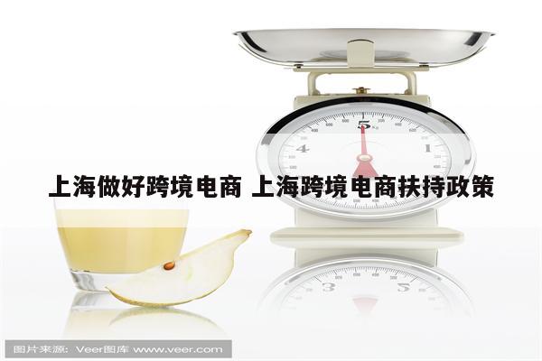 上海做好跨境电商 上海跨境电商扶持政策