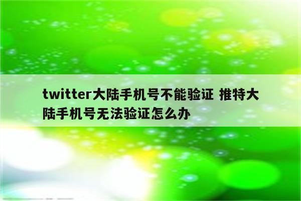 twitter大陆手机号不能验证 推特大陆手机号无法验证怎么办
