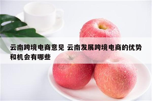 云南跨境电商意见 云南发展跨境电商的优势和机会有哪些