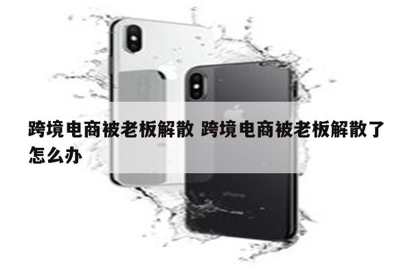 跨境电商被老板解散 跨境电商被老板解散了怎么办