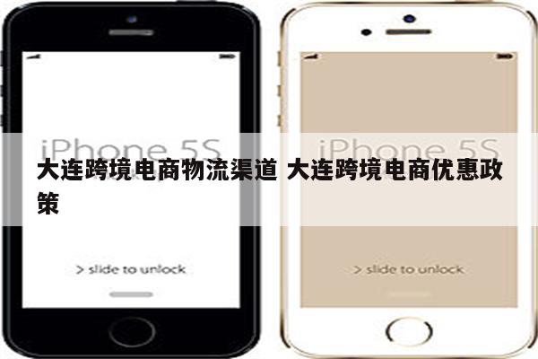大连跨境电商物流渠道 大连跨境电商优惠政策