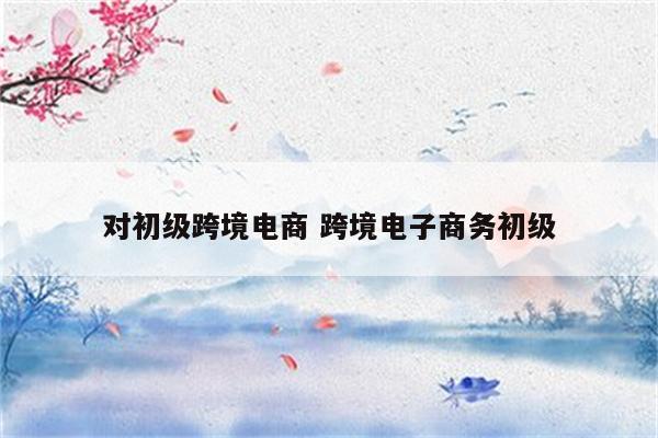 对初级跨境电商 跨境电子商务初级
