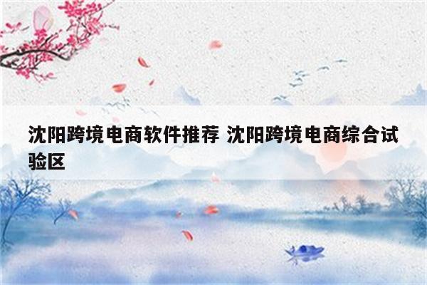 沈阳跨境电商软件推荐 沈阳跨境电商综合试验区