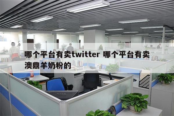 哪个平台有卖twitter 哪个平台有卖澳鼎羊奶粉的
