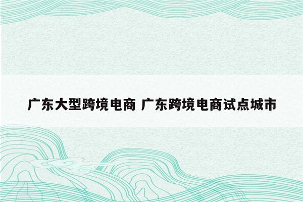 广东大型跨境电商 广东跨境电商试点城市