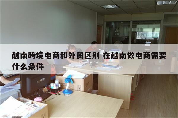 越南跨境电商和外贸区别 在越南做电商需要什么条件