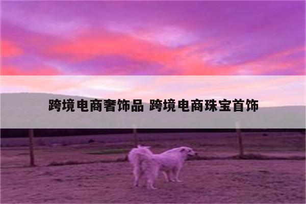 跨境电商奢饰品 跨境电商珠宝首饰