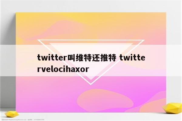 twitter叫维特还推特 twittervelocihaxor