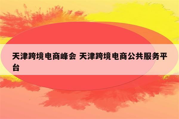 天津跨境电商峰会 天津跨境电商公共服务平台