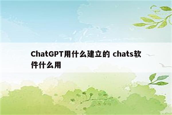 ChatGPT用什么建立的 chats软件什么用