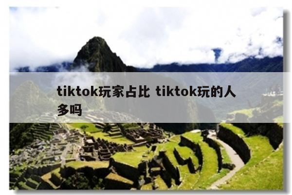 tiktok玩家占比 tiktok玩的人多吗