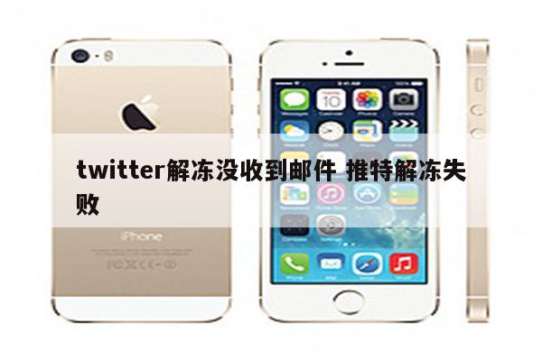 twitter解冻没收到邮件 推特解冻失败
