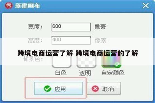 跨境电商运营了解 跨境电商运营的了解