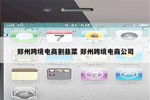 郑州跨境电商割韭菜 郑州跨境电商公司