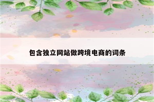 包含独立网站做跨境电商的词条