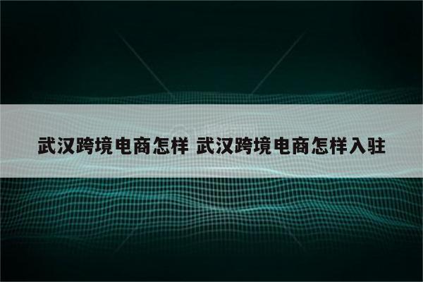 武汉跨境电商怎样 武汉跨境电商怎样入驻