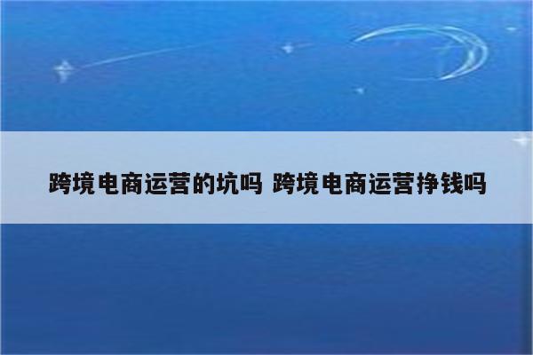 跨境电商运营的坑吗 跨境电商运营挣钱吗