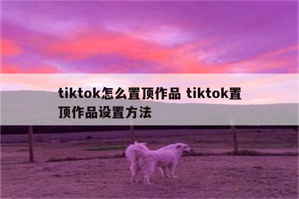 tiktok怎么置顶作品 tiktok置顶作品设置方法